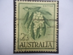 Sellos de Oceania - Australia -  Wattle (pycnantha) -Acacia - Serie: Queen Elozabeth II- Flora y fauna.