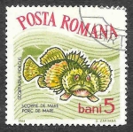 Sellos de Europa - Rumania -  1635 - Pez Cerdo
