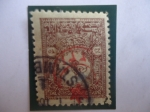 Stamps : Asia : Turkey :  Problemas de Guerra de 1915-Sello del1901 Sobreimpreso en 1915.