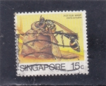 Stamps Singapore -   avispa delta arcuata