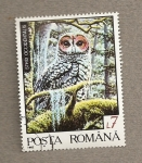 Stamps Romania -  Animales salvajes: Strix occidentalis