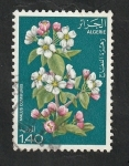 Stamps Algeria -  682 - Flores