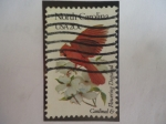 Sellos de America - Estados Unidos -  Nord Carolina - Cardinal and Flowering Dogwood-Serie: Aves Estatales y Flores