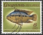 Stamps : America : Guyana :  peces