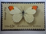 Stamps United States -  Mariposa: Punta Naranja (Anthochoris cardamines)- Serie: Mariposas.