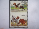 Stamps United States -  Dogs: Beagle - Boston Terrier - Alaskan Malamute - Collie - Serie: Dogs.- (Canis Lupus Familiaris)