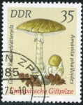 Stamps : Europe : Germany :  Amanita Phaloides