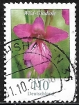 Stamps Germany -  Gladiolos