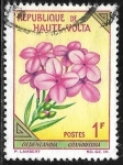 Stamps Burkina Faso -  Oldenlandia grandiflora