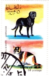 Sellos de Asia - Om�n -  perros y gatos