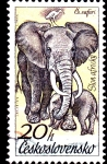 Stamps Czechoslovakia -  Elefantes