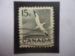 Stamps Canada -  Alcatraz (Morus bassanus) Serie: Semana Nacional de la Vida Silvestre, 1954.