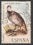 Stamps Spain -  Fauna hispánica. ED 2039 