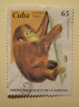 Sellos del Mundo : America : Cuba : Jardín Zoologico de la Habana