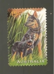 Stamps Australia -  INTERCAMBIO