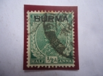 Stamps Myanmar -  Burma -Serie:King George V -Sello de la India del 1911- Código:Stanley Gibbons:In202-(Sobrestampado 
