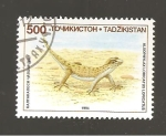 Stamps Asia - Tajikistan -  CAMBIADO DM