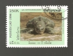 Stamps : Asia : Laos :  CAMBIADO DM
