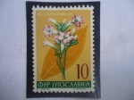 Stamps Yugoslavia -  Tabaco - Nicotiana Tabacum - Serie: Flores (1955)