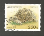Stamps Azerbaijan -  CAMBIADO CR
