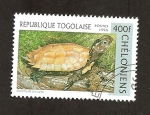 Stamps : Africa : Togo :  CAMBIADO NL