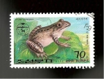 Stamps North Korea -  CAMBIADO CR