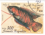 Stamps : Asia : Somalia :  PEZ