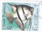 Stamps Somalia -  PEZ