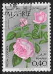 Sellos de Africa - Argelia -  Rosa odorata