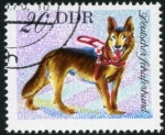 Stamps Germany -  Pastor Aleman
