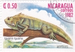 Stamps Nicaragua -  Iguana