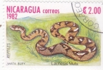 Stamps Nicaragua -  serpiente Mata buey