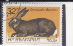Sellos de Europa - Bulgaria -  conejo