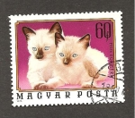 Stamps Hungary -  INTERCAMBIO