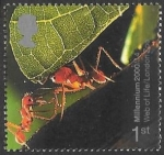 Stamps United Kingdom -  millenium