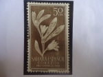 Stamps Spain -  Ed:ES-SH 129 - Pro Infancia 1956 - Sesiviun Portulacastrum. Pais: Sahara Español