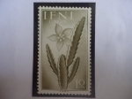 Stamps Spain -  Ed:ES-IF 104 - Stapelia Sp- Cactus- País: Ifni (Antigua provincia Española, hasta 1969)