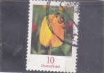 Stamps Germany -  Flor-tulipan 