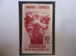 Stamps Spain -  Ed:ES-SH 99 - Sahara Español - Avestruz - Día del Sello Colonial 1952.