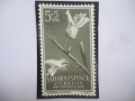 Stamps Spain -  Ed:ES-SH 126 - Sahara Español - Ntirrhinum- romosissimum - Pro-Infancia 1956