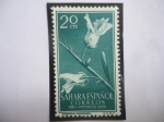 Stamps Spain -  Ed:Es-SH 128 - Sahara Español - Antirrhinum- Romosissmum - Pro-Infancia 1956