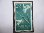 Sellos de Europa - Espa�a -  Ed:Es-SH 128 - Sahara Español - Antirrhinum- Romosissmum - Pro-Infancia 1956