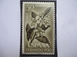 Stamps Spain -  ED.ES-FP 221 - Fernando Poo Español (Región Ecuatorial Española) - Día del Sello 1963