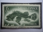 Stamps Spain -  Ed:ES-SH 110 -sahara Español - Red Scorpionfish (Scorpaena serofa) - Día del Sello Colonial 1953