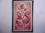 Stamps Spain -  Ed:ES-RM 44 - Flor del Copal - Río Muni, Español - Región Continental de Guinea Ec. - Día del Sello 