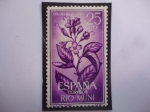 Stamps Spain -  Ed:ES-RM 42 - Flor del Copal - Río Muni, Español - Región Continental de Guinea Ec. - Día del Sello 