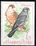 Stamps Hungary -  AVES