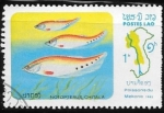 Stamps Laos -  PECES