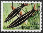 Sellos de America - Nicaragua -  PECES