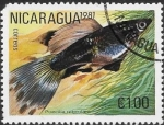 Sellos de America - Nicaragua -  PECES